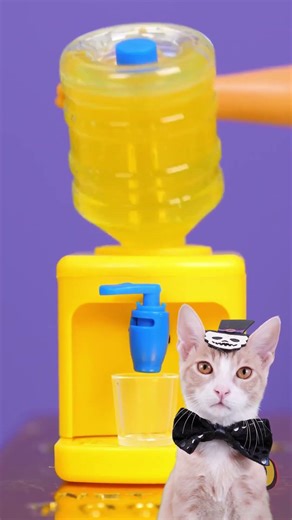 Hehehe Look At This Cute Gadget 😻💖