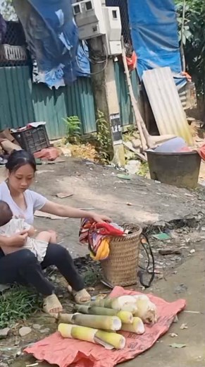 161K views · 2.1K reactions | Single mom ⧸ Harvesting Bamboo Shoots to Sell and Build a Life ep12 | Star TV | Facebook