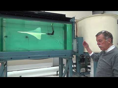 Water Tunnel Facility - Flow Visualization
