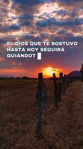 Día 19: Dios es tu esperanza #biblia #palabradios #devocional365 #jeremías2911