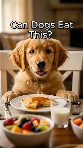 Can Dogs Eat This?