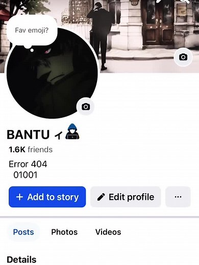 Understanding Facebook Friend Profiles and Updates