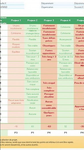Project Prioritization (Template)