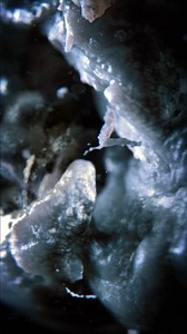 Incoming report from Weyland-Yutani: CRITICAL GESTATION COMPLETE. #AlienEarthFX premieres this Summer on FX | #DisneyPlusCA | 20th Century Studios Canada