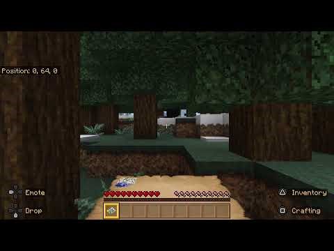 Collab Saturdays #2 w/ Spirit Wolf