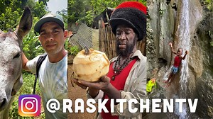 Ras Kitchen has an awesome Instagram account @raskitchentv, where you can see tons of shorter form content & highlights from the shows since 2010! Check it out for lots more Ras Kitchen content that you can't see on Youtube, bless up, Ras Kitchen Crew https://www.instagram.com/raskitchentv/?hl=en ★ ALL MY GEAR★ https://www.amazon.com/shop/raskitchen ★CONNECT★ Ras Kitchen Instagram & Facebook https://www.instagram.com/raskitchentv/?hl=en http://www.facebook.com/raskitchenTV ★VISIT RASTA MOKKO★ Ne