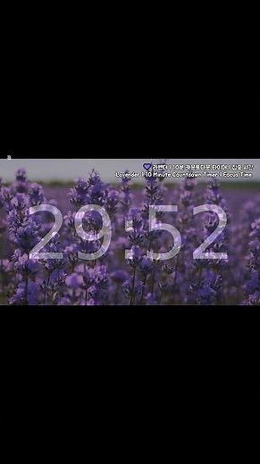 30분 카운트다운 타이머 | 라벤더 | 집중 시간 [30 Minute Countdown Timer | Lavender | Focus Time]