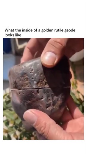 Fact on Instagram: "A golden rutile geode is a geode that contains crystals featuring inclusions of rutile, a titanium dioxide mineral, which forms as delicate, hair-like strands inside the quartz or other host crystal. When rutile inclusions take on a golden color due to trace elements and the way light interacts with them, they create a shimmering, needle-like pattern often referred to as “Venus hair.” In a geode, the rutile needles may be suspended within transparent or smoky quartz crystals 