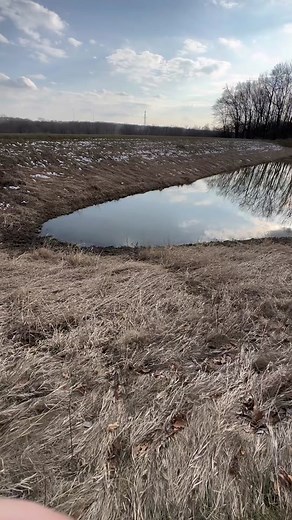 Still at it here in iowa. #fyp #foryou #foryoupage #shedseason #shedrally #antlers #shedhunting #midwestfreakstv #deer #deerseason #magnums