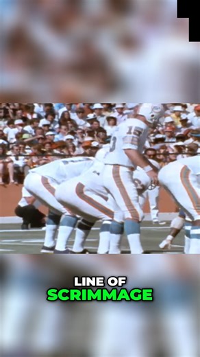 2.7K views · 24 reactions | Dolphins Dominate_ Super Bowl Dreams & Undefeated Season! #nfl #miamidolphins | Miami Dolphins Zone | Facebook