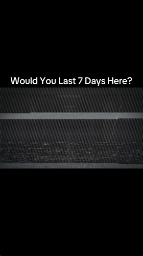 #analoghorror #vhshorror #horrortok #liminal #foundfootage