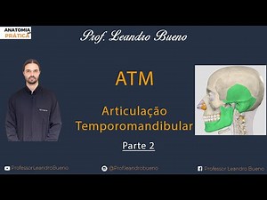 Everything About TMJ - Part 2 - Temporomandibular Joint - Human Anatomy