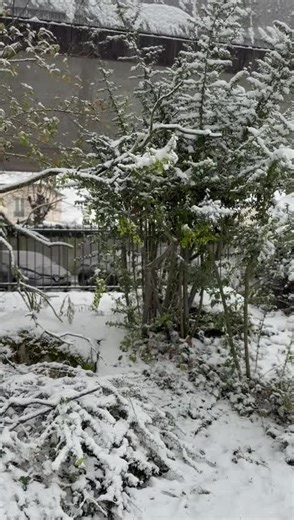 Life Lessons: Embracing Growth and Kindness