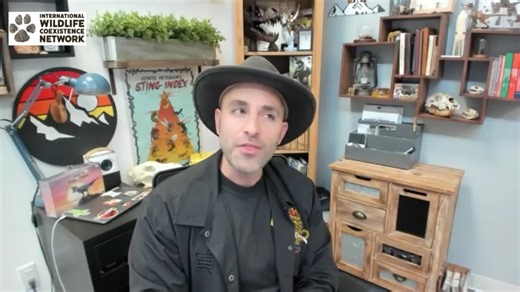 Thank you to everyone expressing their concerns for the persecution of wolves. Maybe we should consider making a documentary called Don't F*** with Wolves. Check out this clip from the International Wildlife Coexistence Network and click the link in my bio to hear the full conversation. It’s a narrative that anyone who cares about animals or the planet should be in tune with. The recent slaughter of over 20 wolves can not be overlooked. If ever there was a time to make some serious noise, this i