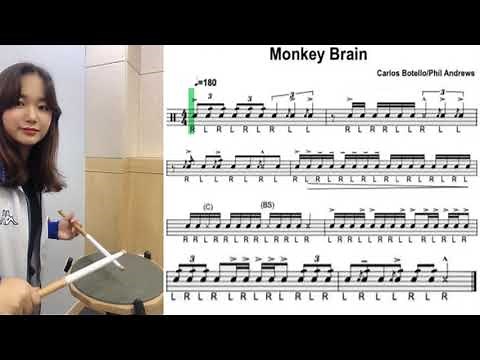 “Monkey Brain” Snare Lick