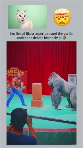 Human vs Gorilla Flex 💪 | #shorts #viral #funny #gorilla #human ##memes #shortsfeed #shortvideo