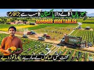 Record-Breaking Vegetable Farming in Pakistan 🌱 | Summer Vegetables Garden Farm | Kissan Ka Pakistan