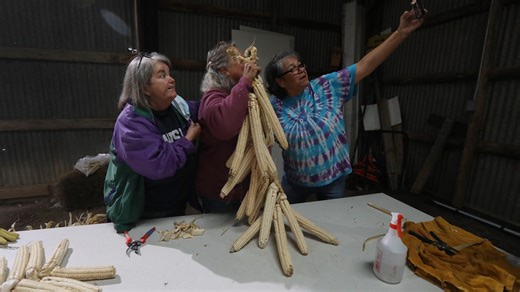 8 books you can read to learn more about Indigenous heritage
