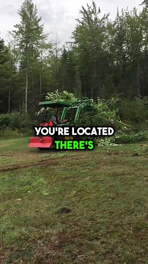 Land Clearing for $1,500? How is that possible? My name’s David and I own Access Service Tree Service. Here's how I run my business: First and foremost, we do amazing work. And we don't settle for anything less. No corner cutting. No junky materials. Lifetime warranties. But there's more… Because we’re a small company that I run really well, we don't have a ton of overhead. Unlike the big bloated companies who have fancy offices, TV commercials, and billboards… Guess who pays for all of that? Yu