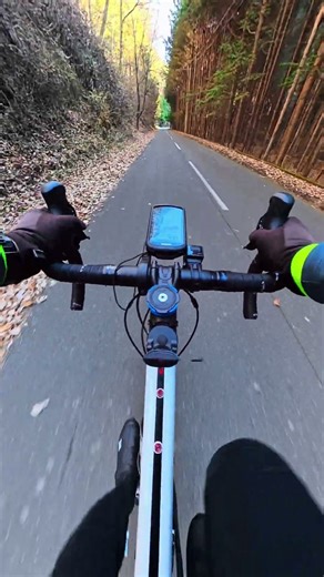 A Perfect Winter Ride in Rural Japan 🇯🇵 #長野県 #cycling #cyclinglife