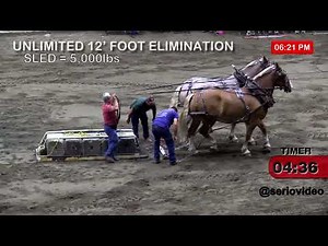 BigE Draft Horse Pull Unlimited Class