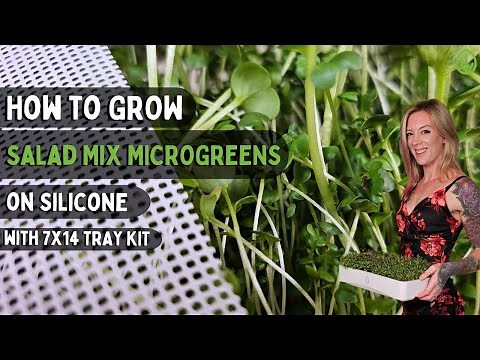 How to Grow Salad Mix Microgreens at Home | 7x14 Tray Kit Tutorial
