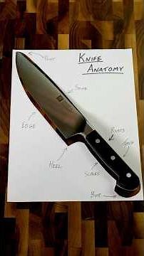 The Anatomy of a Kitchen Knife