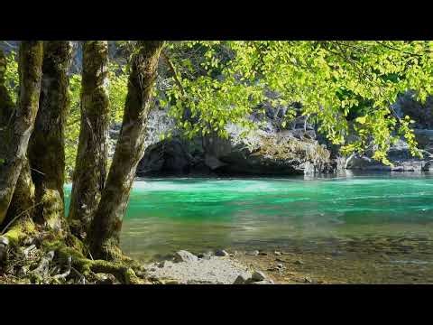 Selected Verses - Surah 42 (Ash-Shuraa) - Verses 7-11