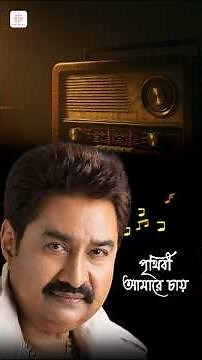 পৃথিবী আমারে চায় - Kumar Sanu | Audio Lyrical Video | Bengali Popular Song