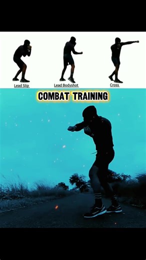 #boxing #combat #kungfu #skills #fighting