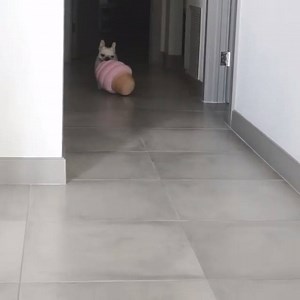 200K views · 457 shares | Me 5 mins after I've said I'll eat healthily...   | boohoo.com | Facebook