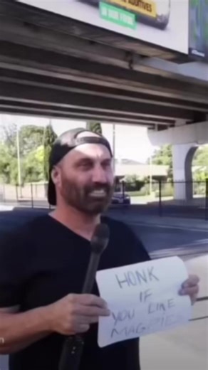 Honk if you love magpies #honk #magpies