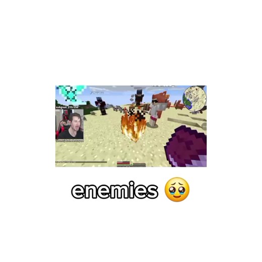 Understanding the Enemies in SockSMP