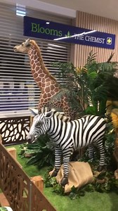 9.9K views · 153 reactions | The Safari Zoo Adventure has arrived at Stockland Green Hills! Who is joining us on safari this week? | Stockland | Facebook