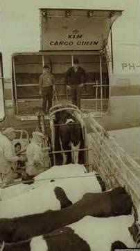 İRAN - İSRAİL SAVAŞI GEÇMİŞTEN GÜNÜMÜZE