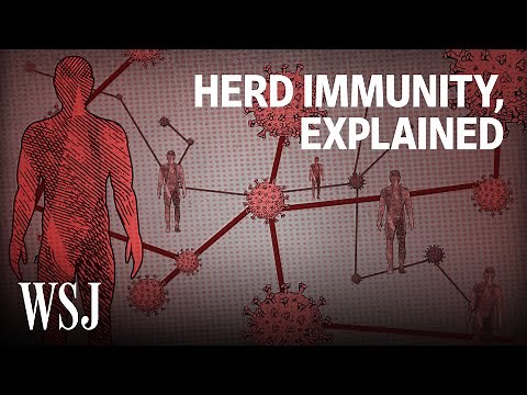 What It Would Take to Reach Herd Immunity | WSJ