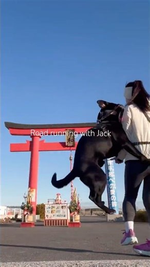 【街ラン】New year run with my buddy&his sand bag lady🎍😇🎍#running #shorts #silentvlog #asmr