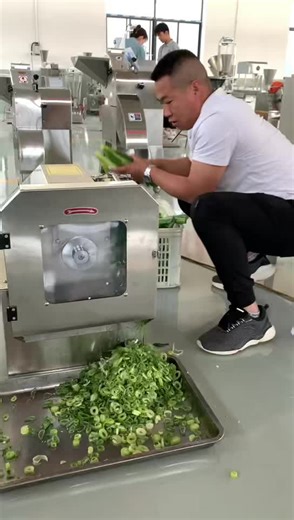Vegetable Cutter #vegetable