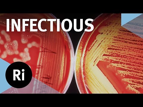 How Do Pathogens Cause Disease and How Can We Fight Them? – with John Tregoning
