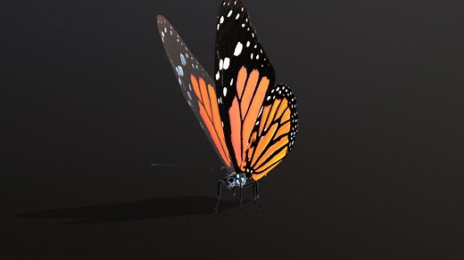 BUTTERFLY - Download Free 3D model by Rukh3D