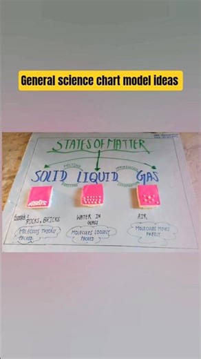 5 chemistry biology 🧫 viral 😱 chart model kese bnaye science chart #chemistry #project be.d #shorts