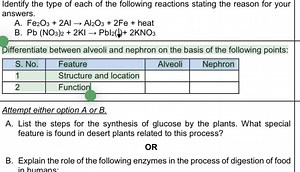 Identify the type of each of the following reactions stating th... | Filo