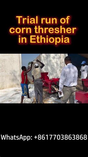 Trial Run of Corn Thresher Machine in Ethiopia Contact：+8617703863868