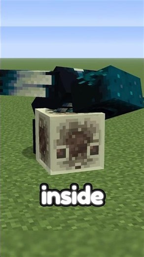 Minecraft’s NEW Warden CHEAT CODE is TOO GOOD