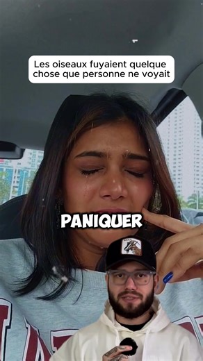 Les oiseaux fuyaient quelque chose que personne ne voyait #horrortok #horreur #scarytiktoks #scary #paranormal