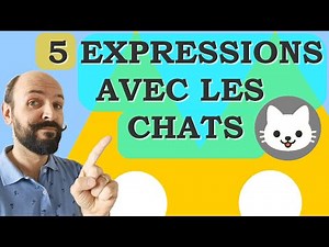 5 EXPRESSIONS FRANÇAISES AVEC LE MOT "CHAT" [B1/B2] 😸😼