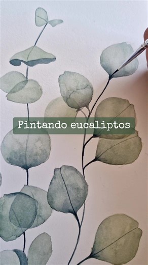 #eucalyptus #eucalipto #watercolor #acuarelas #aquarelle #acuarela #watercolorpainting #watercolorart #fypシ #parati #tiktokartist