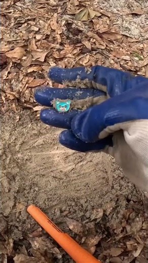 Metal Detecting Park Opened in 1909 (Ring 💍 Discovery!) #metaldetecting #metaldetector #historical