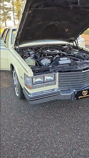 1984 Cadillac Seville - Senior Collector Owned - Showing 38k Miles - 4.1L V8 - Gorgeous Color Combo!