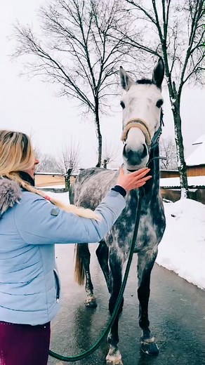 😂😂 #fy #fypage #horse #horsegirl #horseedit #horselover #horselove #horsefail #pferdeliebe #pferde #pferdemädchen #equestrian #equestrianedit #fyp